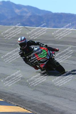 media/Feb-04-2024-SoCal Trackdays (Sun) [[91d6515b1d]]/1-Bowl (950am)/